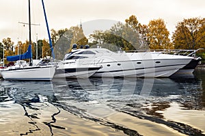 Luxury yachts at marina