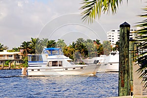 Luxury yachts in marina, South Florida