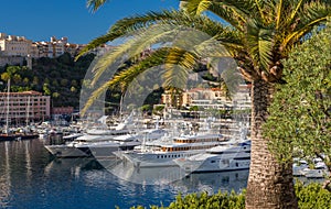 Luxury Yachts in Monaco