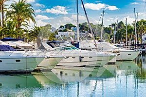 Luxury yachts moored at marina