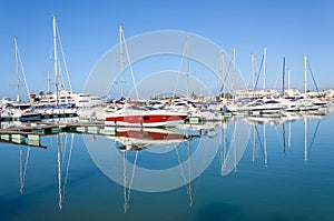 Luxury yachts in the port of Vilamoura in Portugal photo