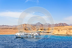 Luxury yachts in the Red Sea