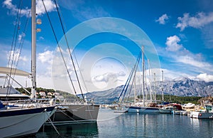 Luxury yachts and sailing boats in marina