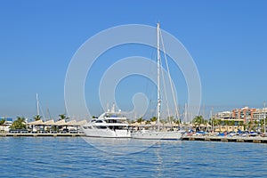 Luxury Yacht - Boats In Sunny Harbour Marina photo