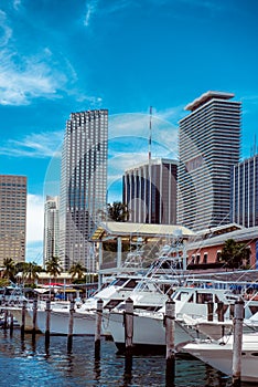 Luxury yachts and skyscrapers at the Bayside Marina in Miami