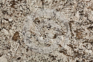 Luxuty bright natural brown granite background close-up