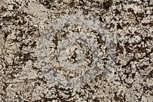 Luxuty brown granite background. Natural stone in extremely high resolution.
