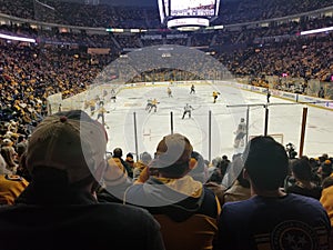 LV Knights vs Nashville Predators 1/16/18