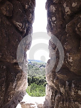 Lviv Castles