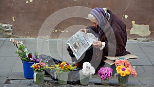 Old lady babushkas selling flowers at market