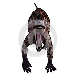 Lycaenops isolated dinosaur 3d render