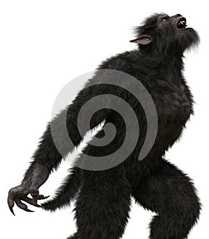 Lycan Werewolf isolated on white background 3d illustration