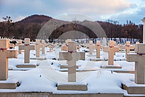 Lychakivske cemetery