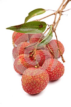 Lychee