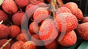 Lychee