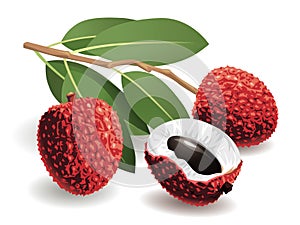 Lychee Fruit