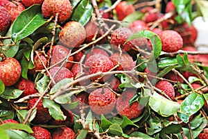 Lychee fruit