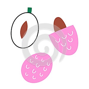 Lychee fruit doodle Vector illustration
