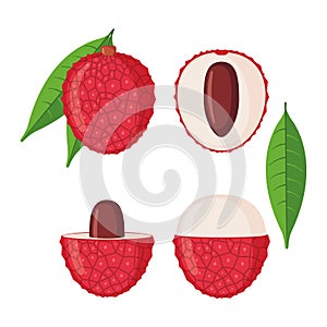 Lychee fruit icons set in flat style isolated on white background