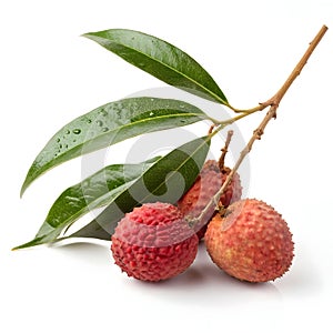 Lychee Fruit with Leaves isolated on white background photo