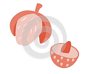 Lychee fruit. Summer tropical fruits for healthy lifestyle. Summer food. Flat vector