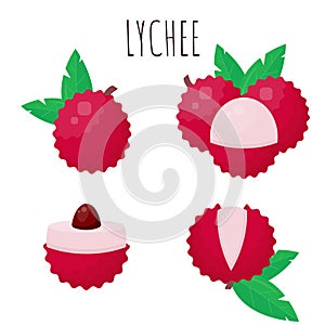 Lychee with leaves isolated on white background. Tropical fruit illustration