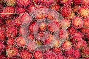 Lychee litchi chinesis
