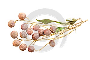 Lychee tropical fruit on banch in white background