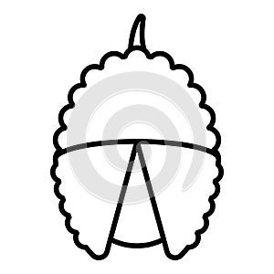 Lychees fruit icon, outline style