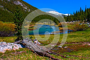 Lyell fork of Tuolumne river along Pacific Crest Trail, Yosemite