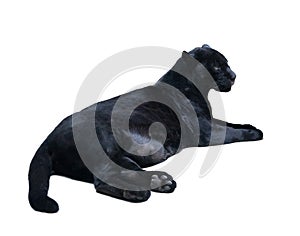 Lying black panthera. Isolated over white photo