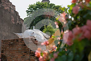 Lying buddha statue