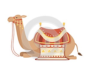 Lying Camel, Two Humped Desert Animal with Bridle and Saddle Decorated with Ethnic Ornament Vector Illustration