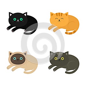 Lying cat icon set. Siamese, red, black, orange, gray color cats in flat design style.