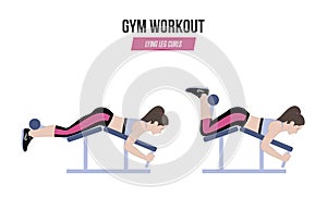 Lying leg curls. Sport exercises. Exercises in a gym. Illustration of an active lifestyle. Vector