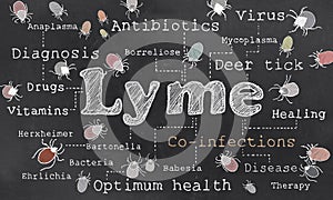 Lyme and Co-infections Illustration