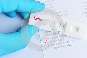 Lyme positive test result photo