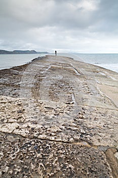 Lyme regis in dorset england uk