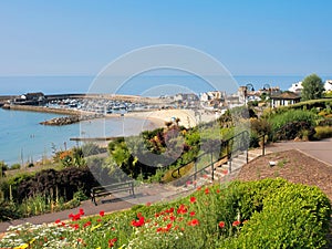 Lyme Regis Harbour Overview in Summer