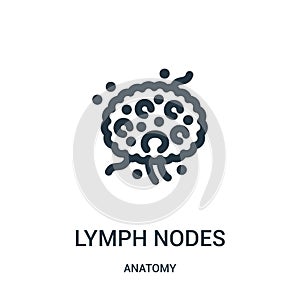 lymph nodes icon vector from anatomy collection. Thin line lymph nodes outline icon vector illustration. Linear symbol for use on
