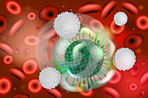 Lymphocytes attacking viruses.