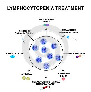 Lymphocytopenia treatment. Decreased lymphocytes in the blood. Infographics. Vector illustration on isolated background.