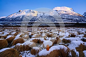 Lyngenský fjord a hora v severnom Nórsku s údeným ovčím kravským syrom