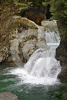 Lynn Canyon Park, Twin Falls, North Vancouver photo