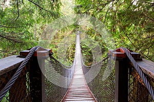 Lynn Canyon Suspension Bridge