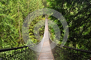 Lynn valley suspension bridge