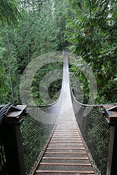 Lynn Valley suspension bridge