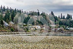 Lynnwood Low Tide Shoreline 6