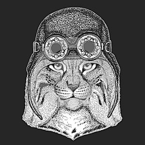 Lynx, bobcat, trot portrait. Aviator leather helmet. Head of wild cat. Animal face.