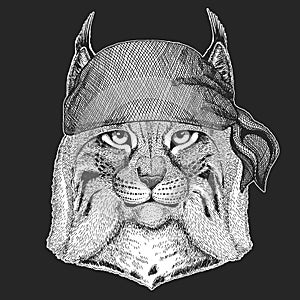 Lynx, bobcat, trot portrait. Bandana. Biker, pirate. Head of wild cat. Animal face.